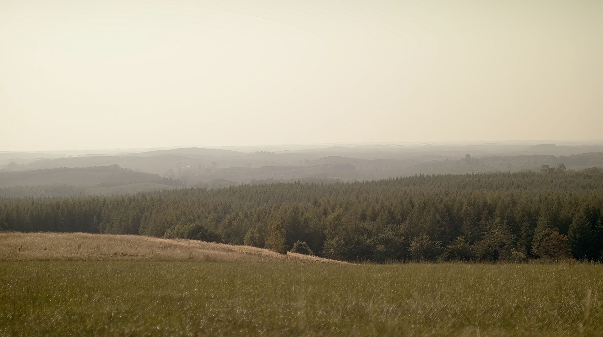 ALET Agency Airbnb Experience Birds Of Prey Sweden 5 1920x1080px