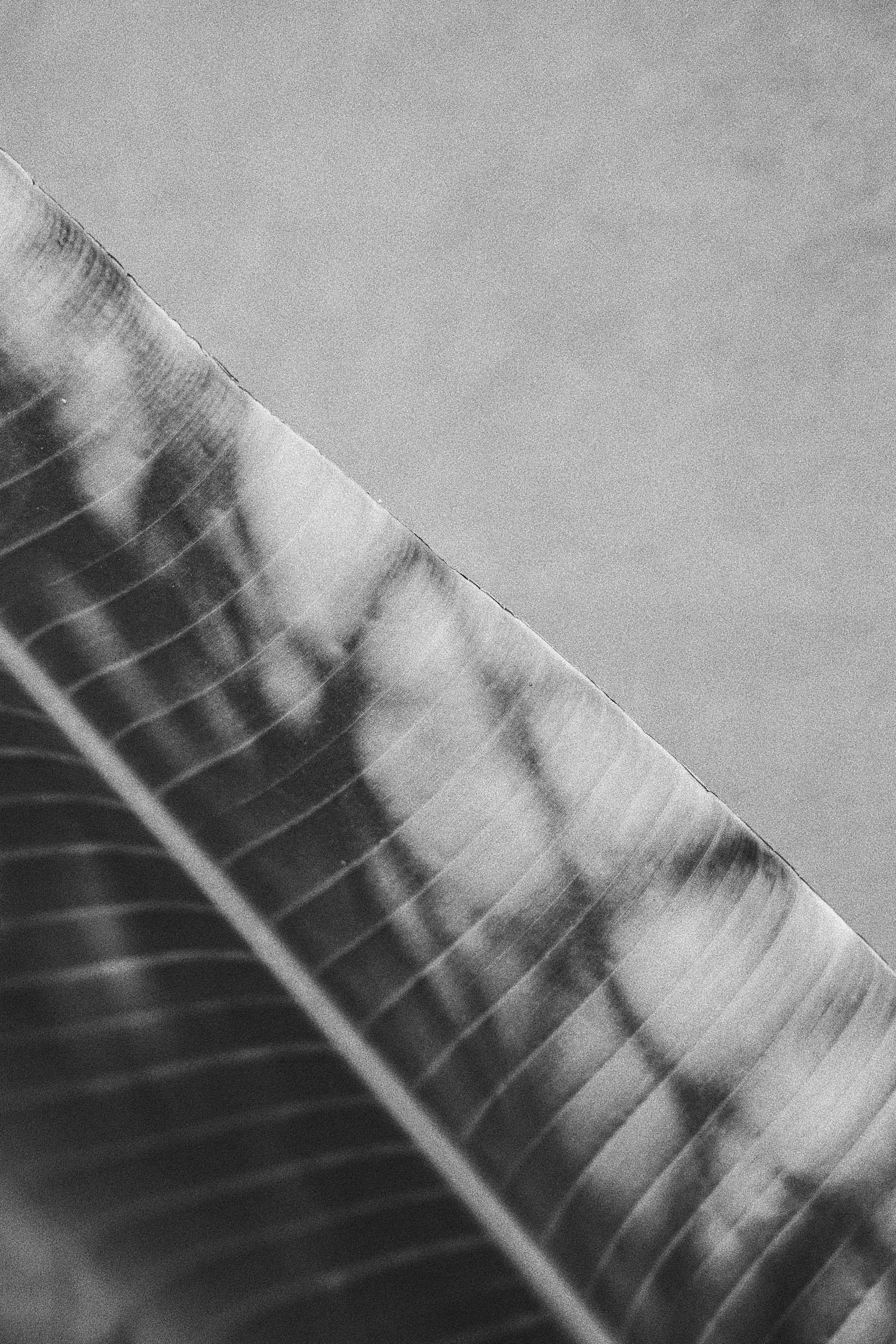 ALET Agency Domes Zen Chania Crete Greece 26 4000x6000px