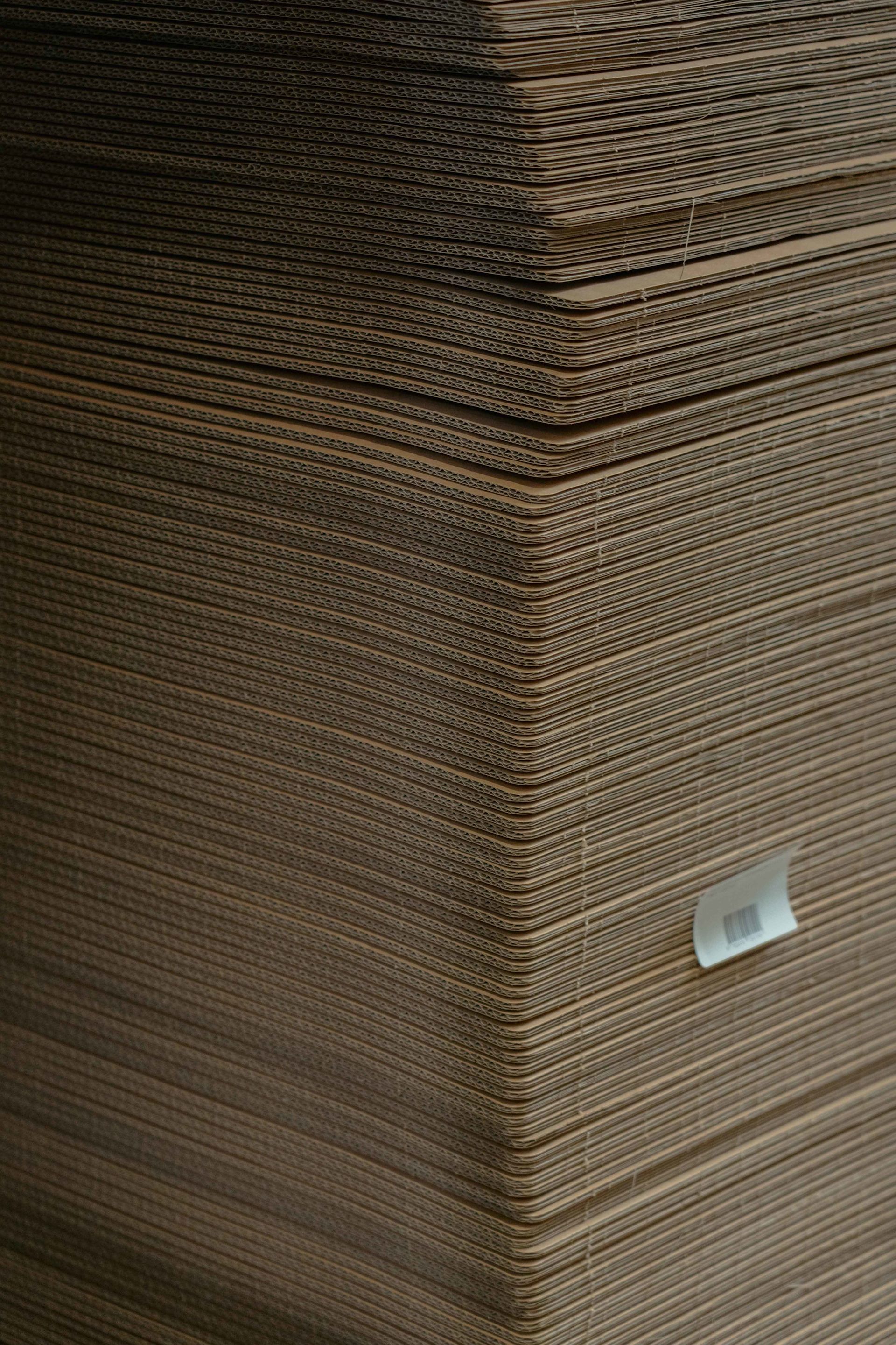 MadeSpecific ALET Horsens Oct2024 MedRes-04449