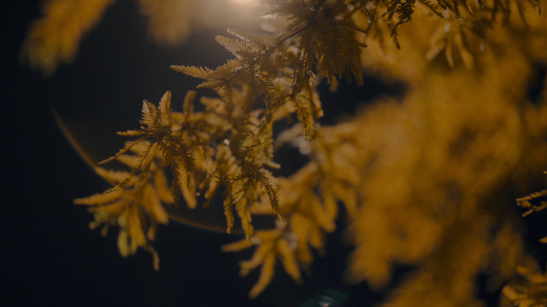 ALET-Agency Louis-Poulsen Reflections Film01 Framing-Outdoor-Spaces 59 1920x1080px-min