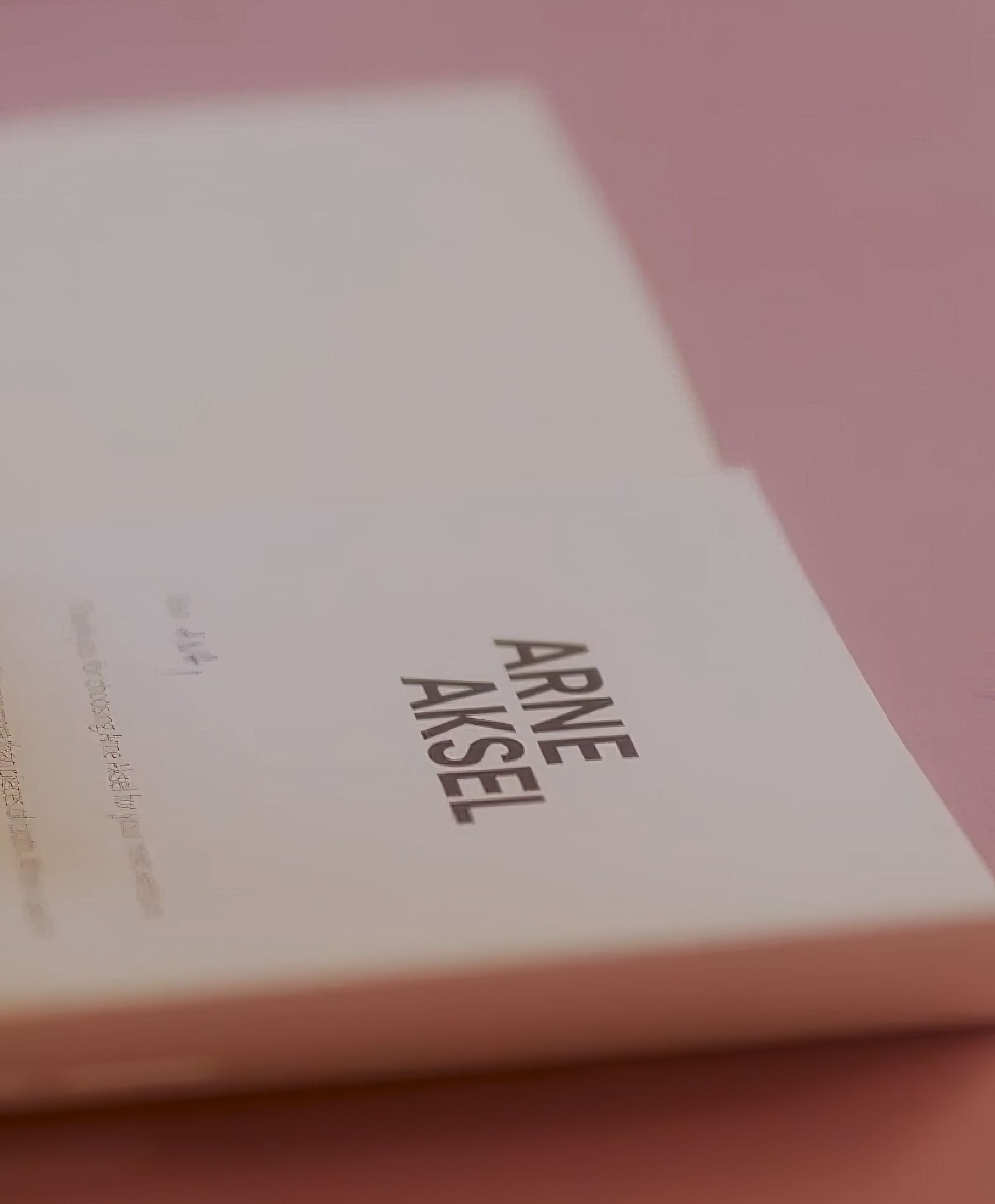 03 arne aksel experience 2