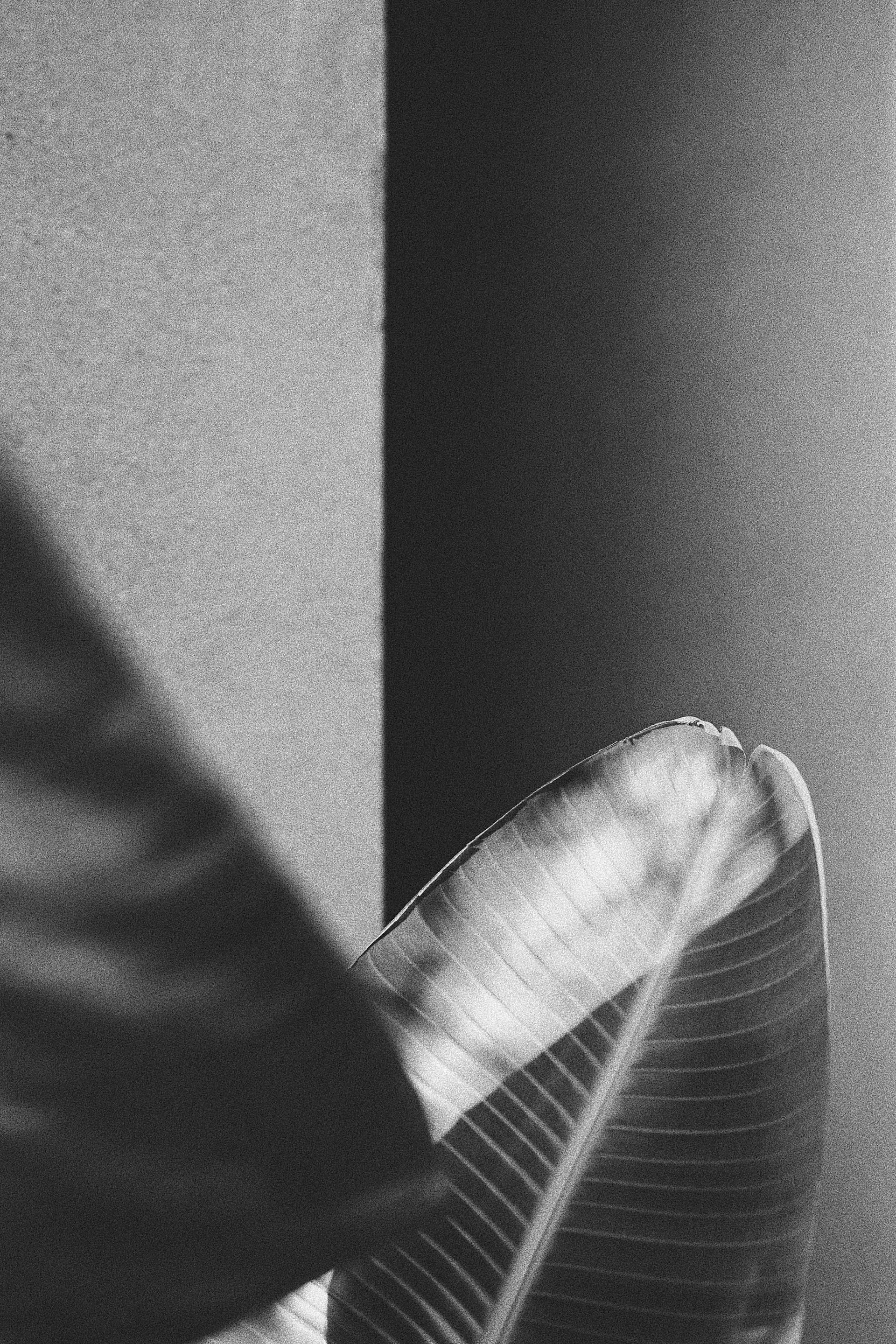 ALET Agency Domes Zen Chania Crete Greece 17 4000x6000px